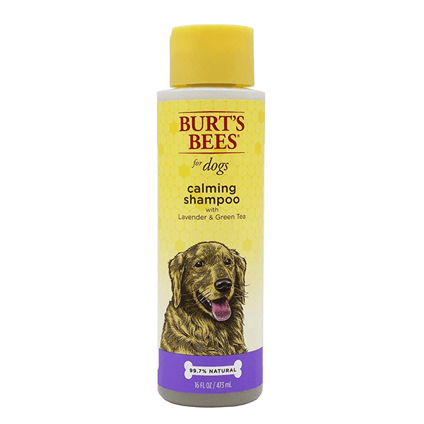 Burt's Bees Calming Shampoo with Lavender & Green Tea - 475mL - Pisces Pet Emporium