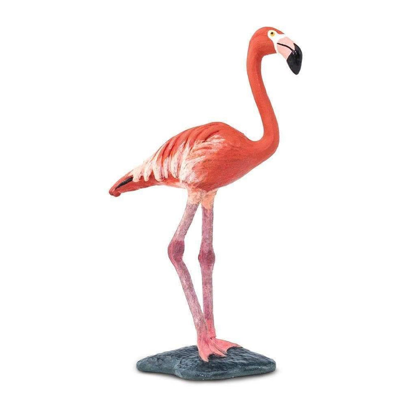 Safari Ltd. Flamingo - Pisces Pet Emporium