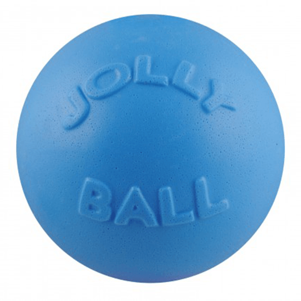Jolly Pets Blue Bounce-N-Play Ball - Medium - Pisces Pet Emporium