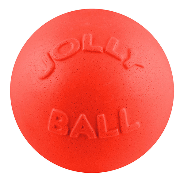 Jolly Pets Orange Bounce-N-Play Ball - Medium - Pisces Pet Emporium