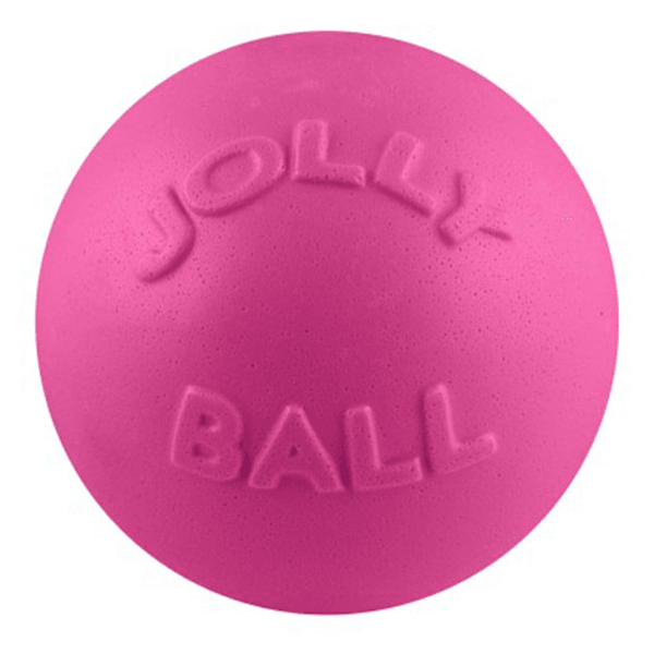 Jolly Pets Pink Bounce-N-Play Ball - Small - Pisces Pet Emporium