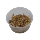 Pisces Wax Worms - 25-Pack - Pisces Pet Emporium