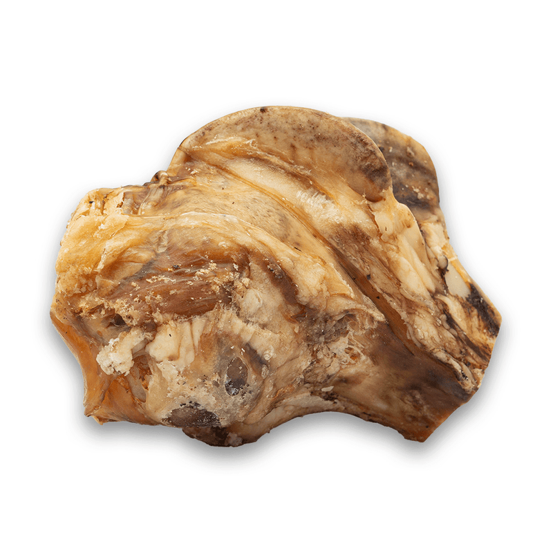 Silver Spur Asado - Beef Knuckle Bone - Pisces Pet Emporium