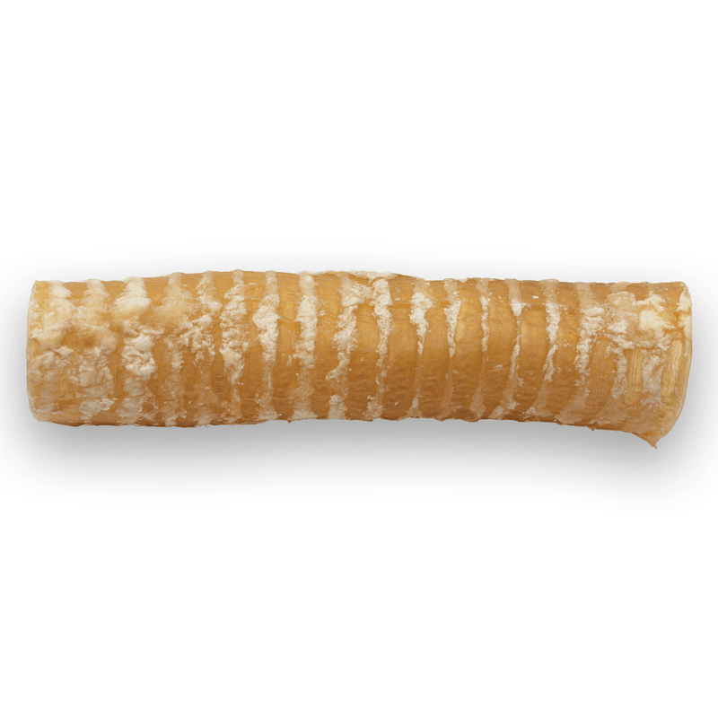 Silver Spur Asado - Beef Trachea 6" - Pisces Pet Emporium