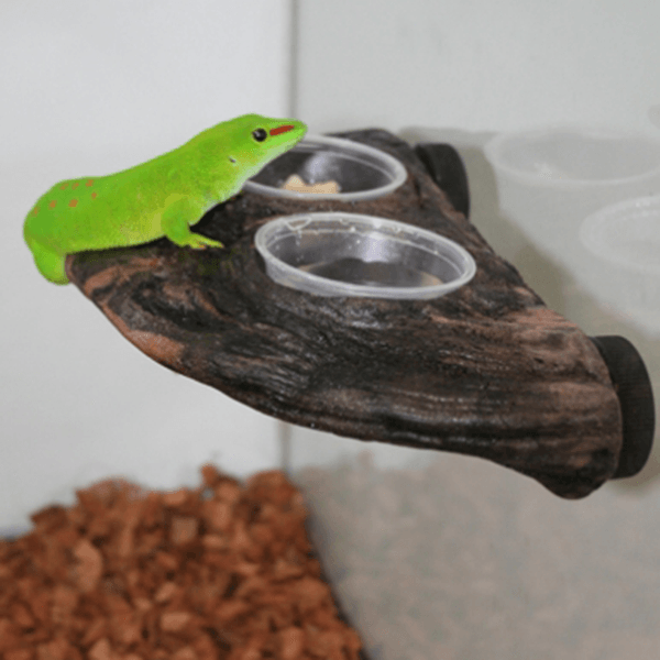 Magnaturals Gecko Ledge - Pisces Pet Emporium