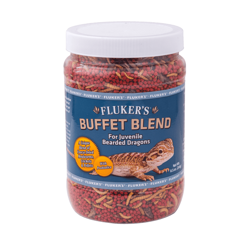 Dried mealworms deals for bearded dragons