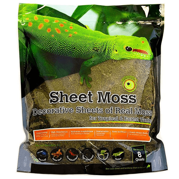 Galapagos Sheet Moss - Pisces Pet Emporium
