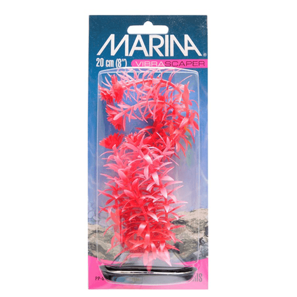 Marina Vibrascaper Anacharis Plant - 20 cm - Pisces Pet Emporium