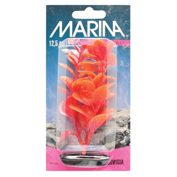 Marina Vibrascraper Ludwigia Plant - 12.5 cm - Pisces Pet Emporium