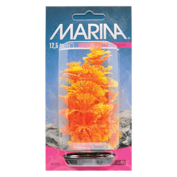 Marina Vibrascaper Ambulia Plant - 12.5 cm - Pisces Pet Emporium