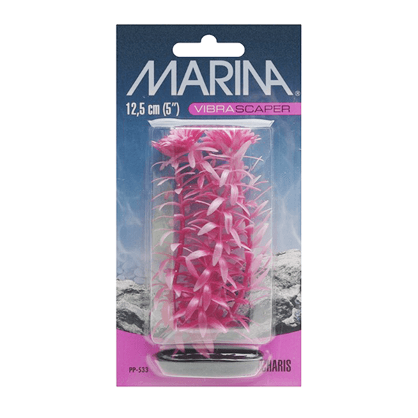 Marina Vibrascaper Anacharia Plant - 12.5 cm - Pisces Pet Emporium