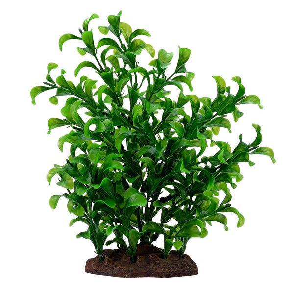 Fluval Aqualife Plant Scapes - Bacopa