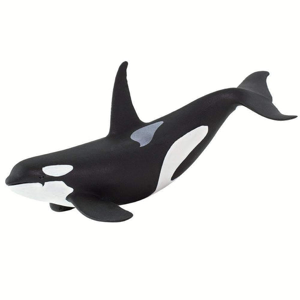 Safari Ltd. Orca - Pisces Pet Emporium