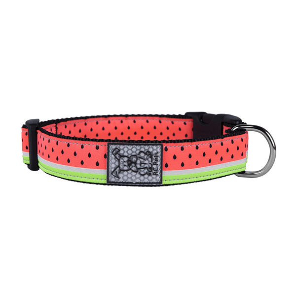 RC Pets Watermelon Clip Collar - Available in 4 Sizes - Pisces Pet Emporium