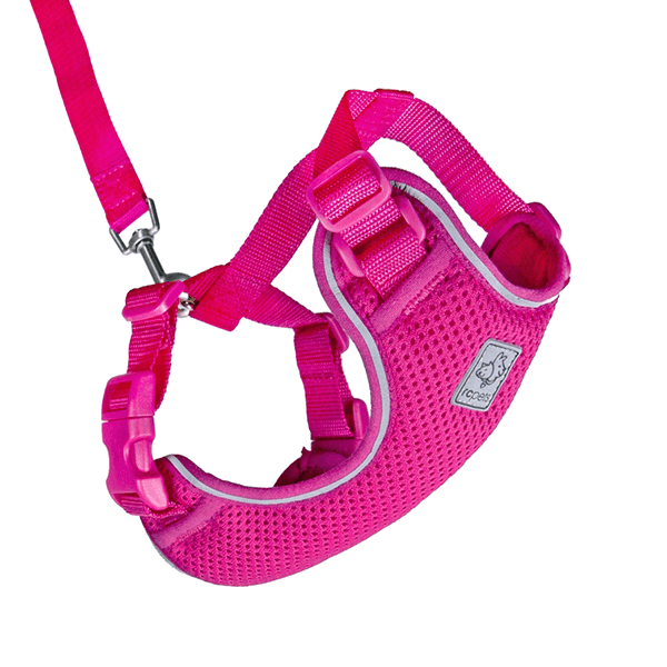 RC Pets Raspberry Adventure Kitty Harness - Available in 3 Sizes - Pisces Pet Emporium