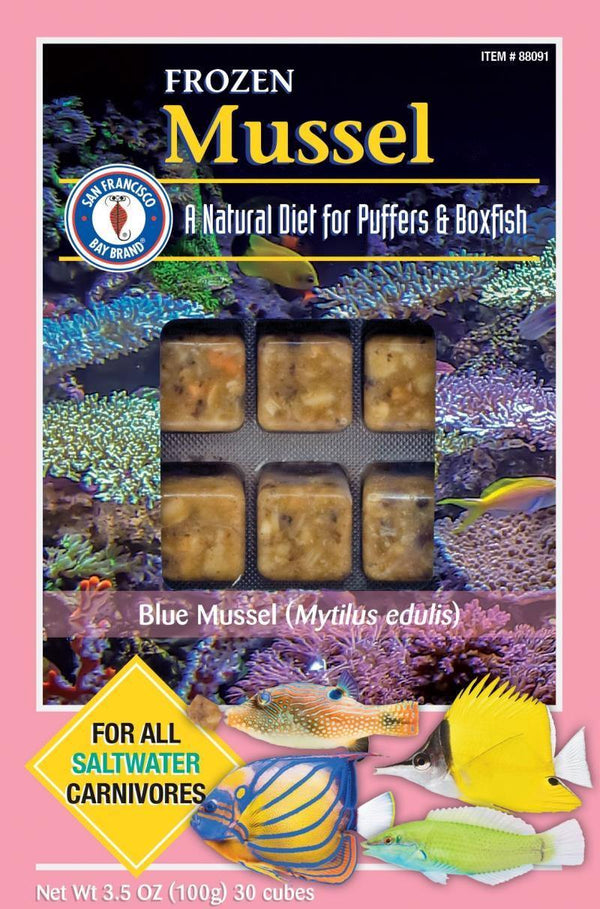 San Fransisco Bay Frozen Chopped Mussel Cubes 3.5oz - Pisces Pet Emporium