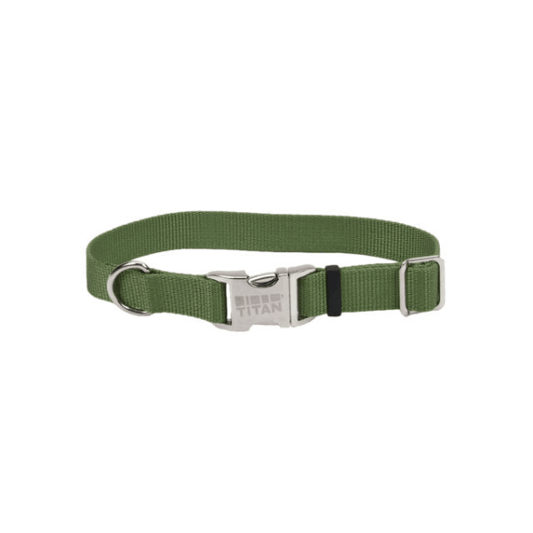 Coastal Pet Palm Green Adjustable Collar with Titan Buckle - Available in 3 Sizes - Pisces Pet Emporium