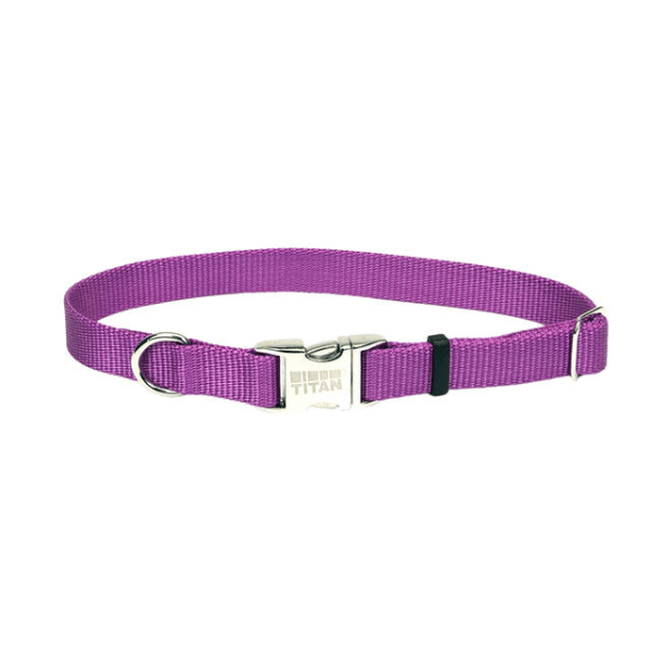 Coastal Pet Orchid Adjustable Collar with Titan Buckle - Available in 3 Sizes - Pisces Pet Emporium