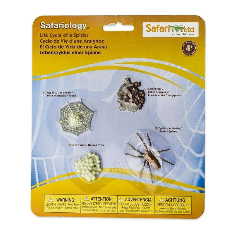 Safari Ltd. Life Cycle of a Spider - Pisces Pet Emporium