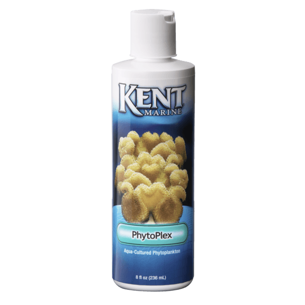 Kent Marine PhytoPlex - Pisces Pet Emporium