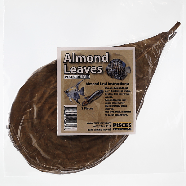 Pisces Almond Leaves - Large - Pisces Pet Emporium