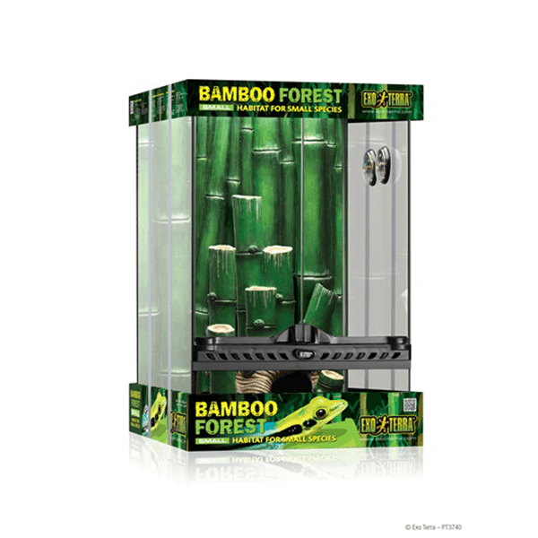 Exo Terra Bamboo Forest Terrarium - Small - Pisces Pet Emporium