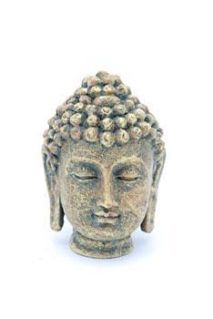 Mini Buddha Head - Pisces Pet Emporium