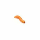 Pisces Butter Worms - 10-Pack - Pisces Pet Emporium