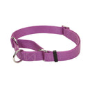 Coastal No! Slip Martingale Adjustable Collar - Pisces Pet Emporium