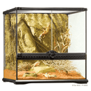 Exo Terra Small Wide Terrarium - 18" x 18" x 18" - Pisces Pet Emporium