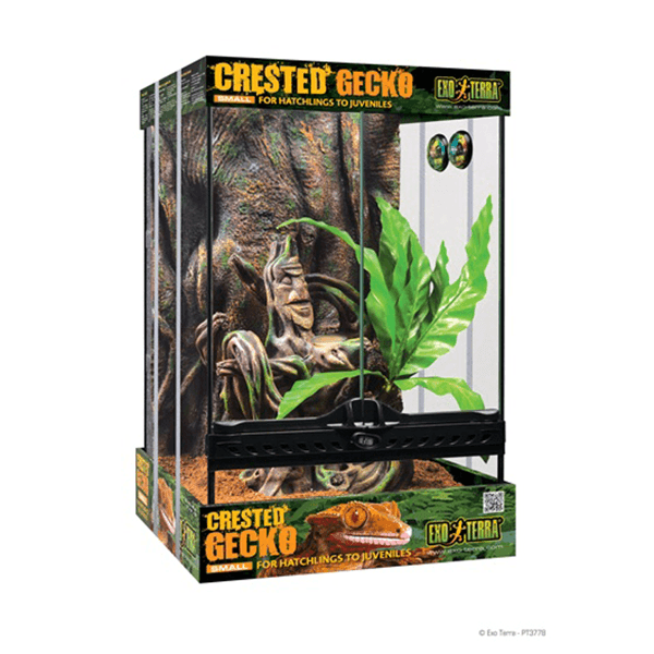 Exo Terra Small Crested Gecko Habitat Kit - 12" x 12" x  17.7" - Pisces Pet Emporium