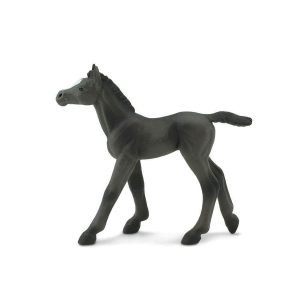 Safari Ltd. Arabian Foal - Pisces Pet Emporium