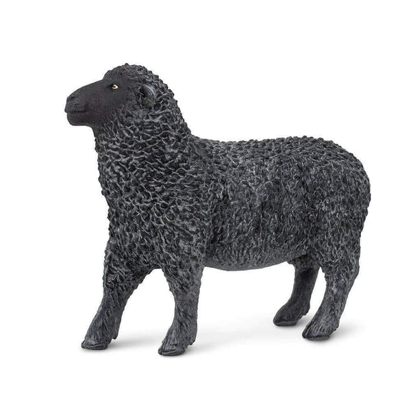 Safari Ltd. Black Sheep - Pisces Pet Emporium