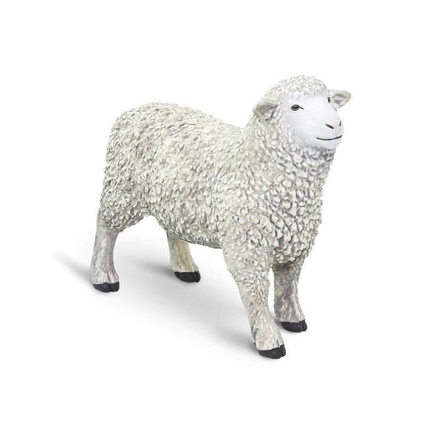 Safari Ltd. Sheep - Pisces Pet Emporium