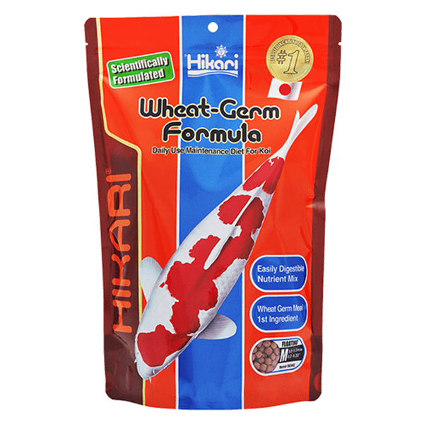 Hikari Wheat-Germ Formula for Koi - Medium Floating Pellet - Pisces Pet Emporium