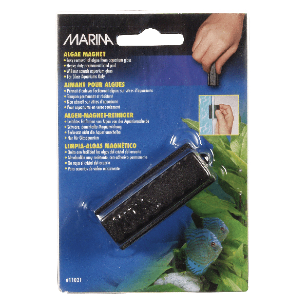 Marina Algae Magnet - Pisces Pet Emporium