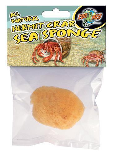 Zoo Med Hermit Crab Sponge - Pisces Pet Emporium