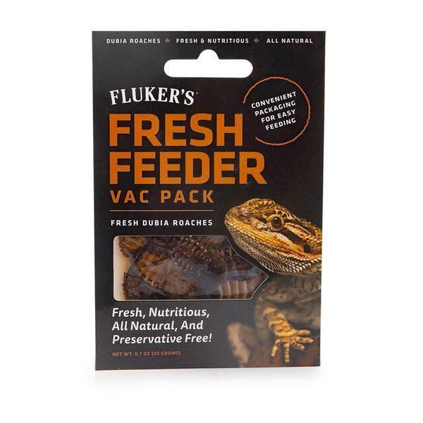 Fluker's Fresh Feeder Vac Pack - Dubia Roach 20g - Pisces Pet Emporium
