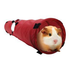 Living World Small Animal Tunnel - Medium - Pisces Pet Emporium