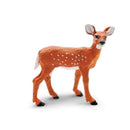 Safari Ltd. Whitetail Fawn - Pisces Pet Emporium