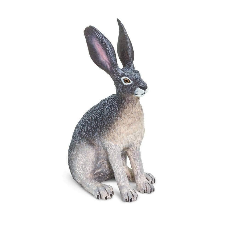 Safari Ltd. American Desert Hare - Pisces Pet Emporium