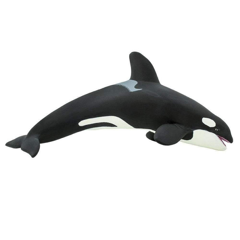 Safari Ltd. Killer Whale (Orca) - Pisces Pet Emporium