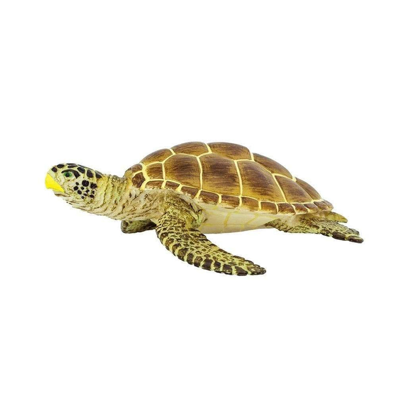 Safari Ltd. Loggerhead Turtle - Pisces Pet Emporium