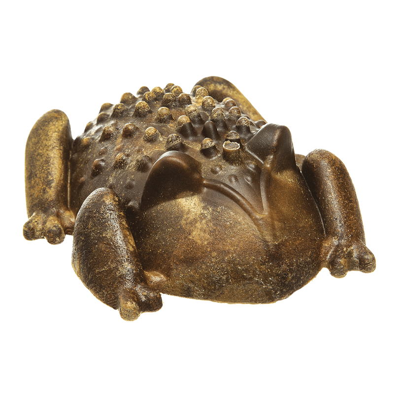 Redbarn Chew-a-Bulls Toad - Medium 12-Pack - Pisces Pet Emporium