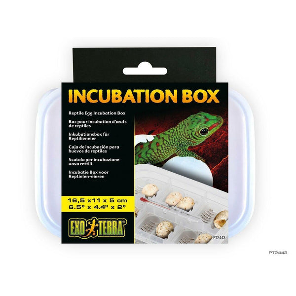 Exo Terra Incubation Box - Pisces Pet Emporium