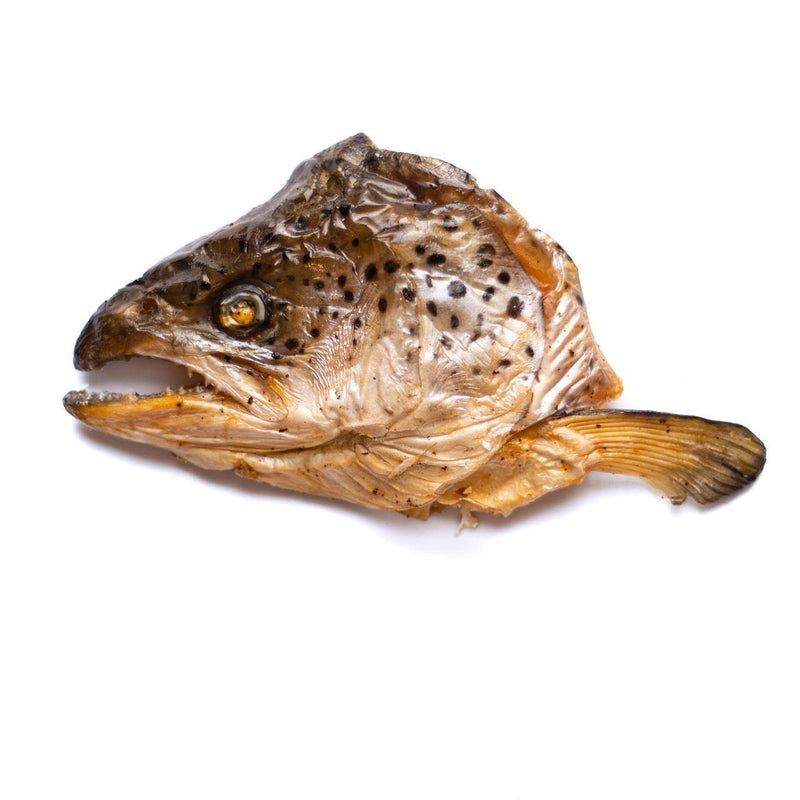 Hero Barktastics - Salmon Head - Pisces Pet Emporium