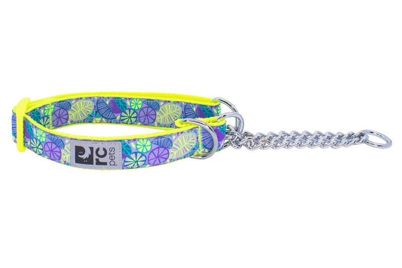 RC Pets Training Collar - Citrus Dog | Pisces