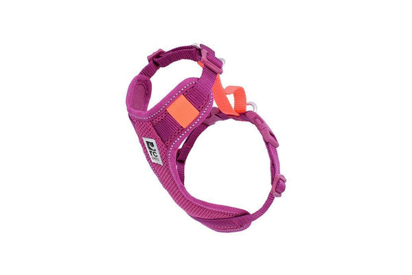 RC Pets Mulberry Moto Control Harness - Available in Multiple Sizes - Pisces Pet Emporium