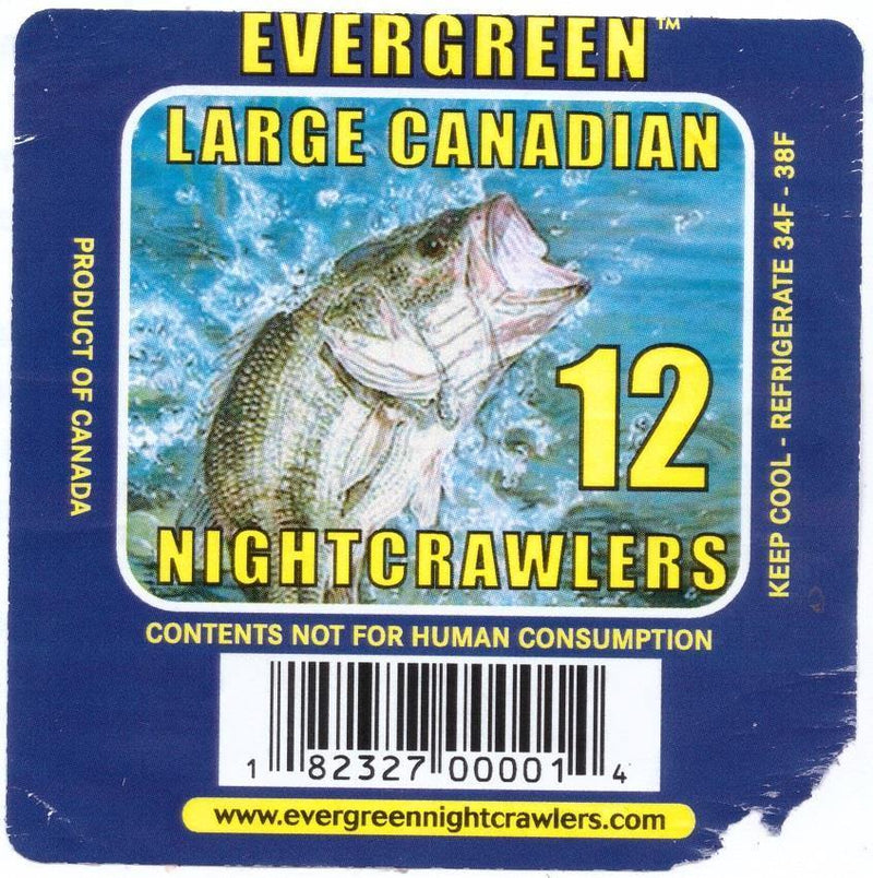 Ever Green Large Canadian Nightcrawlers- 12pc