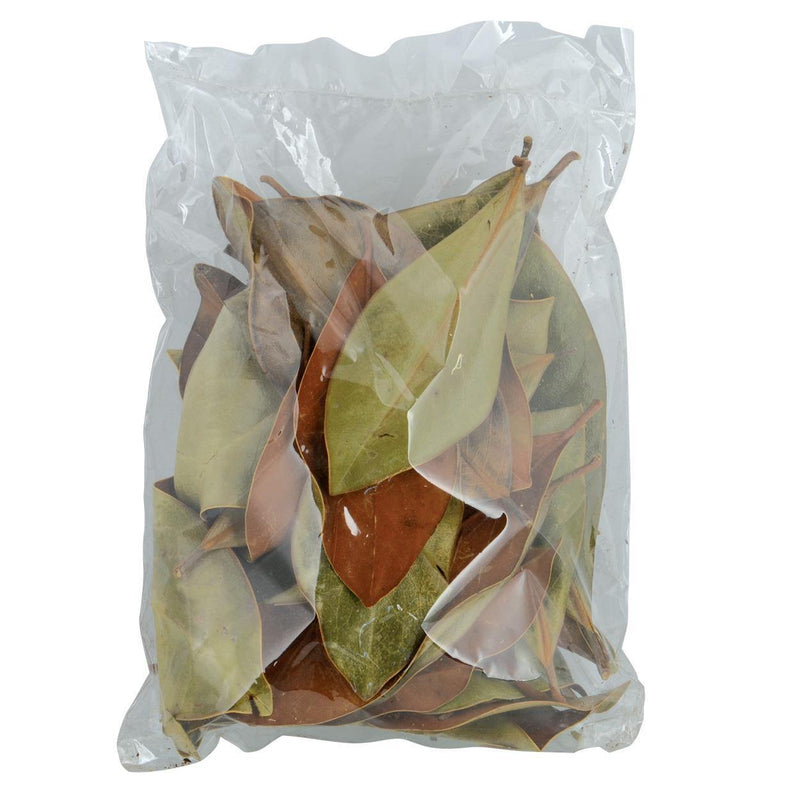 Jurassic Reptile Products - Magnolia Leaves - Pisces Pet Emporium